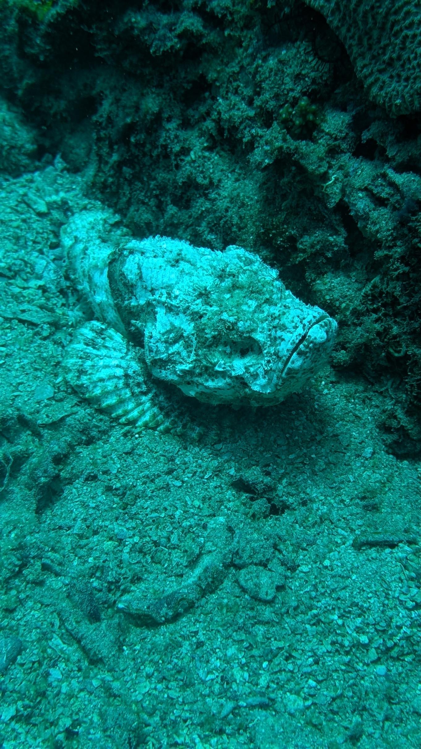 Advanced Open Water Diver image 3