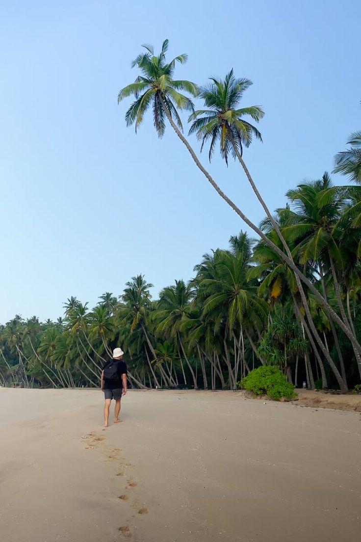 Person walking on a trail through a lush coastal jungle in Sri Lanka