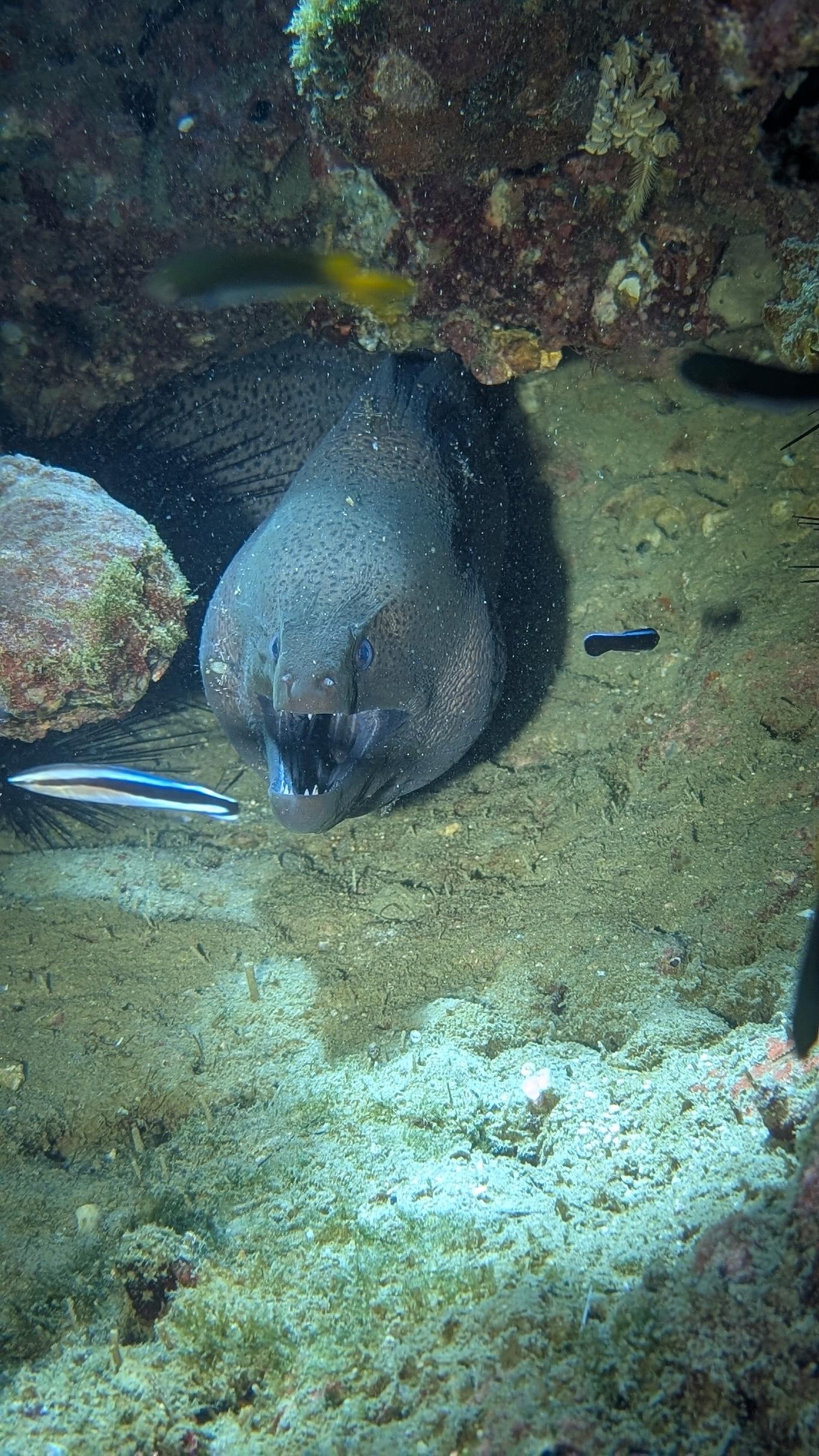 Scuba instructor teaching a student diver scuba skills in shallow, clear water