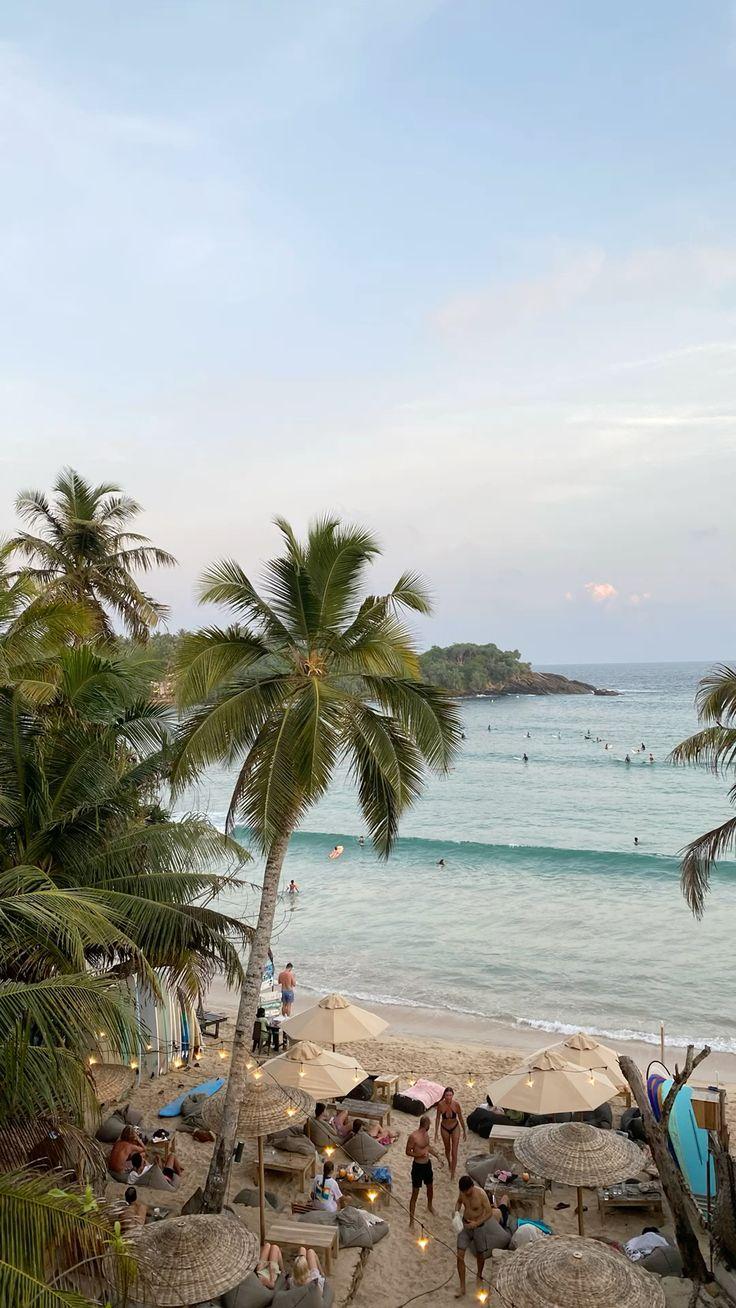 Golden sand beach in Sri Lanka with lush green palm trees and turquoise water