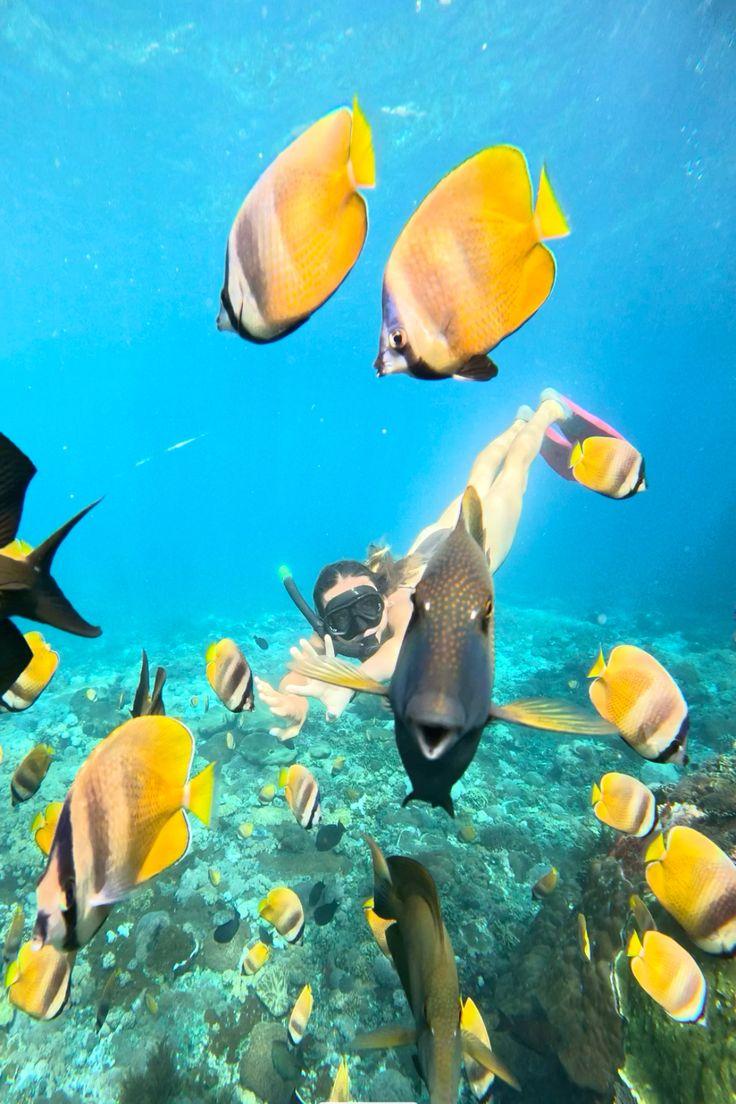 Snorkeling tour boat on the calm blue water near Hiriketiya, Sri Lanka