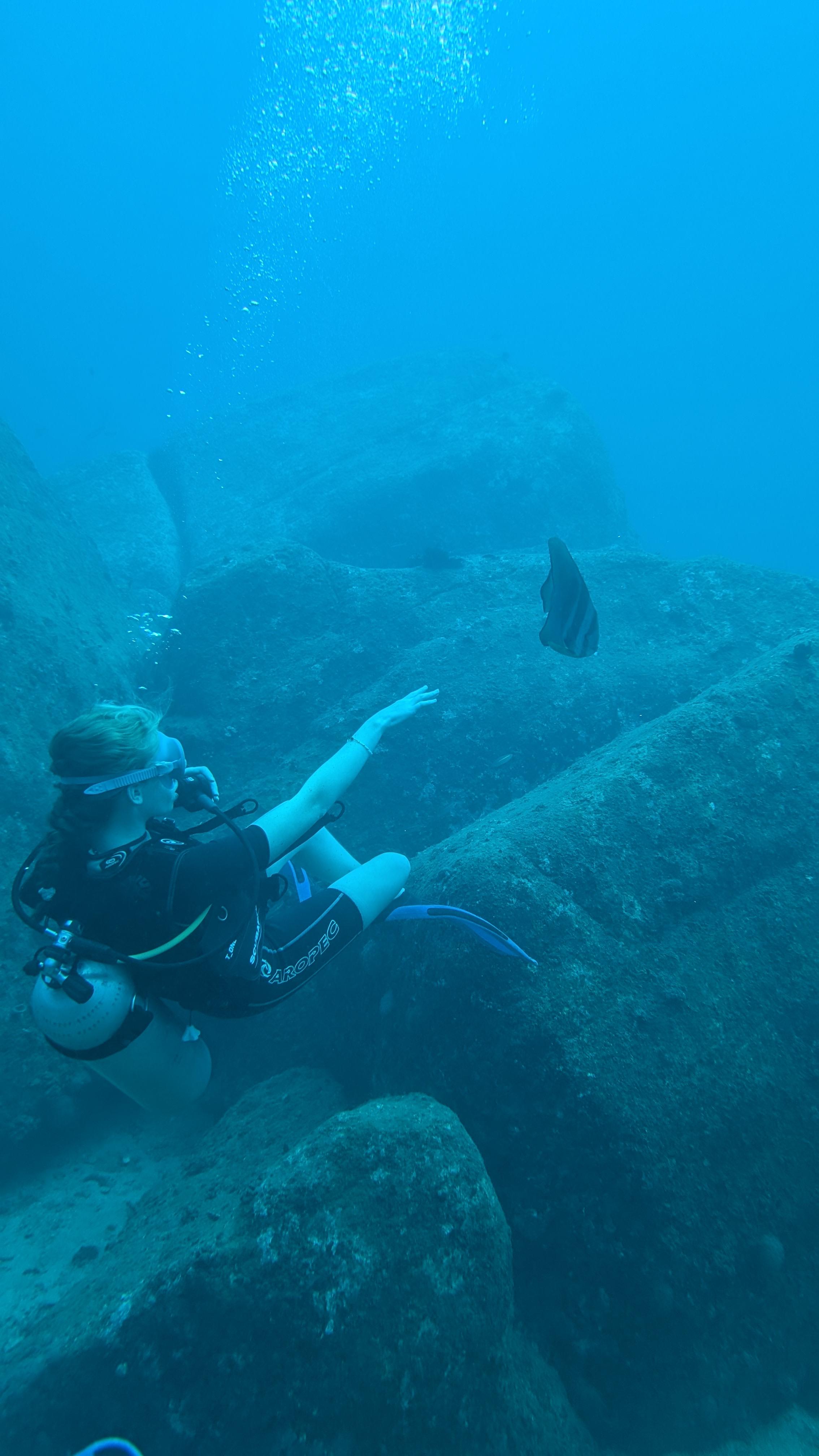 Try Scuba Diving - image 10: Curious about what it feels like to breathe underwater? Our Discover Scuba Diving (DSD) program is the perfect way to explore the ocean — no experience needed! Whether you're new to diving or just want a taste of the underwater world, this is a safe, fun, and unforgettable adventure designed for complete beginners.